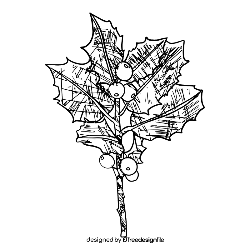 Poinsettia black and white clipart