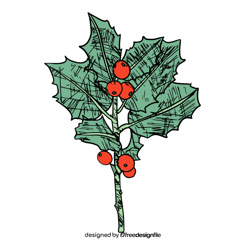 Poinsettia clipart