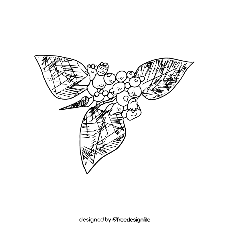 Poinsettia black and white clipart