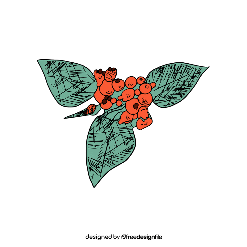 Poinsettia clipart