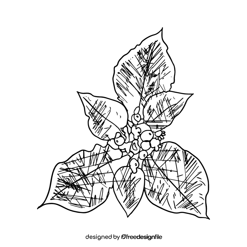 Poinsettia black and white clipart