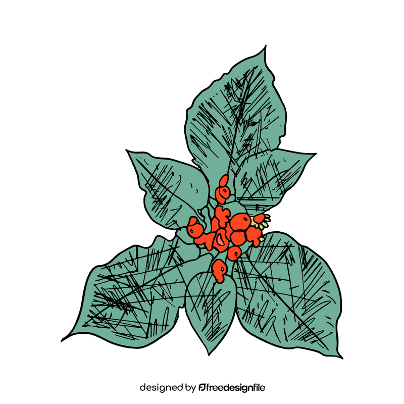 Poinsettia clipart