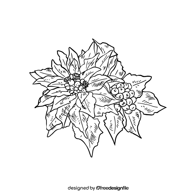 Poinsettia black and white clipart