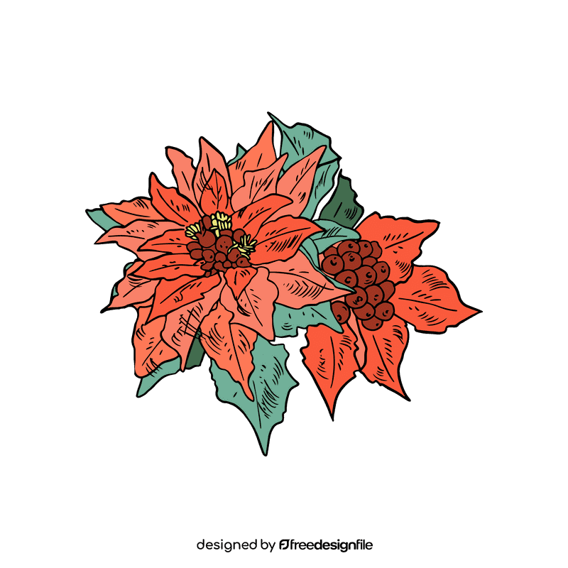Poinsettia clipart