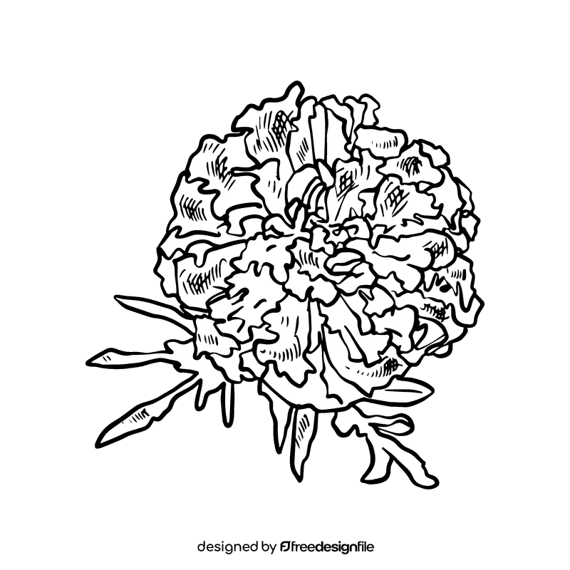Marigold black and white clipart