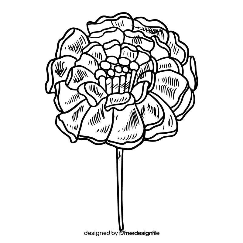 Marigold black and white clipart