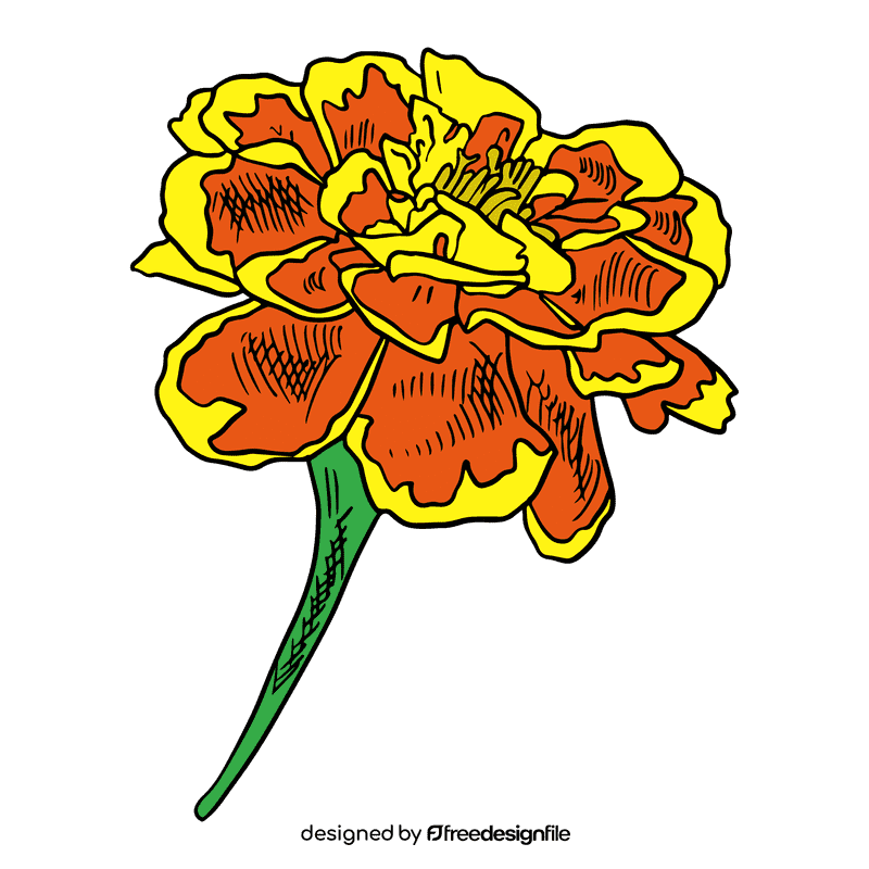 Marigold clipart