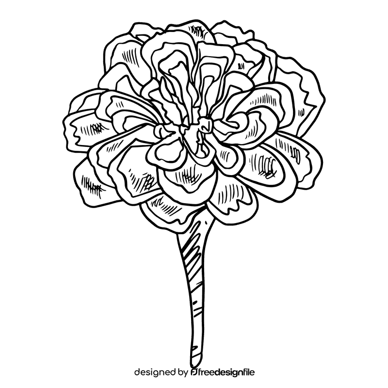 Marigold black and white clipart