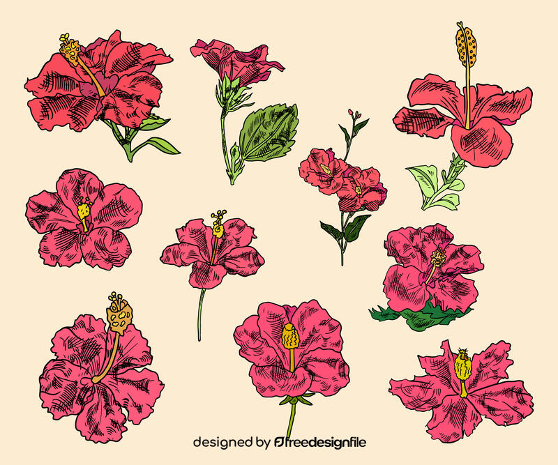 Hibiscus vector