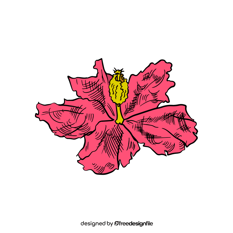 Hibiscus clipart