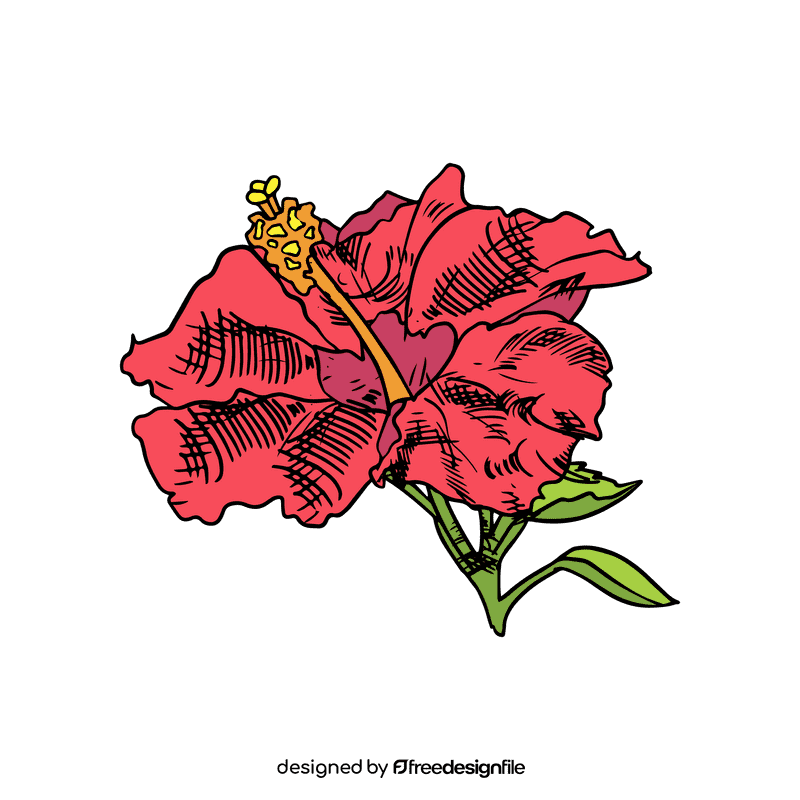 Hibiscus clipart