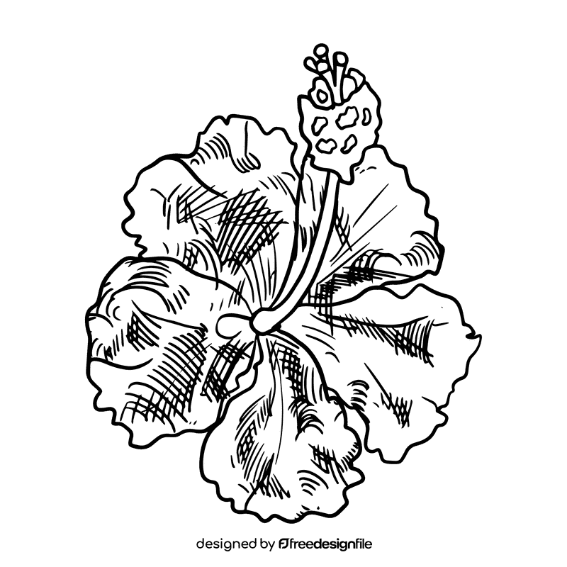 Hibiscus black and white clipart