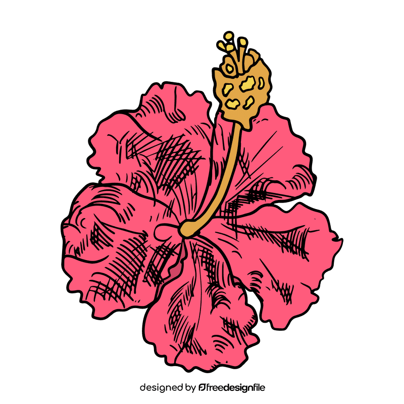 Hibiscus clipart