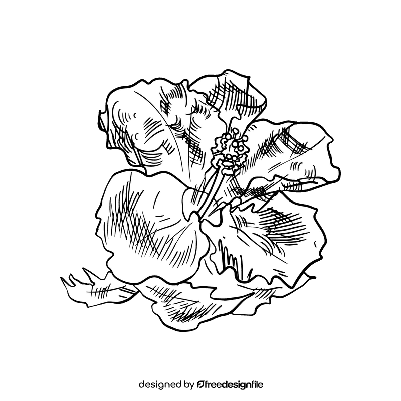 Hibiscus black and white clipart