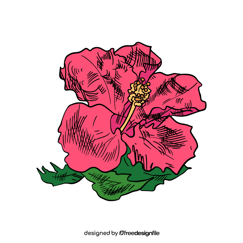 Hibiscus clipart