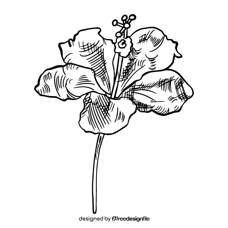 Hibiscus black and white clipart