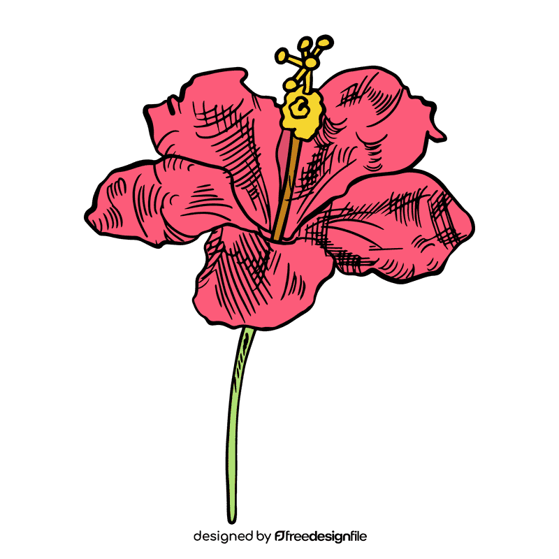 Hibiscus clipart