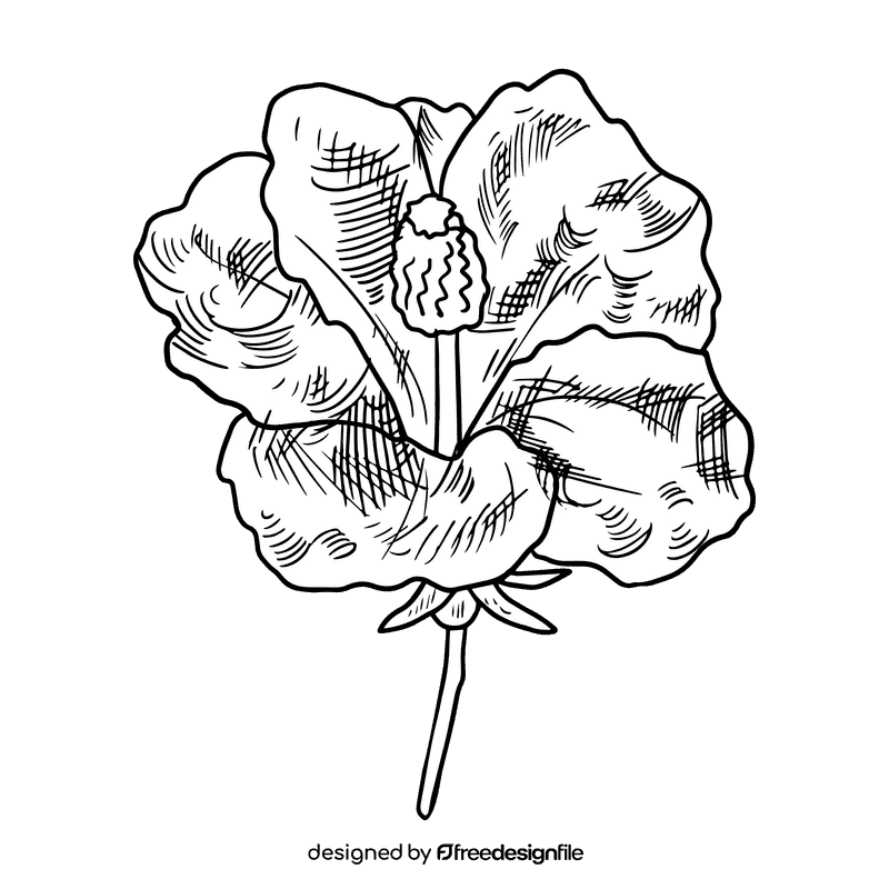 Hibiscus black and white clipart