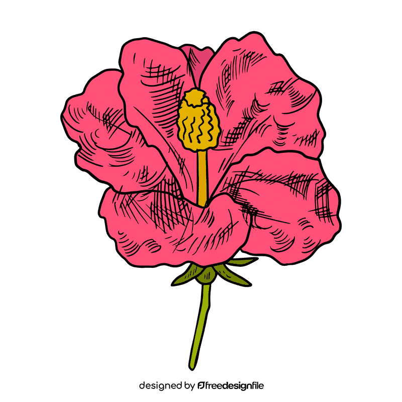 Hibiscus clipart