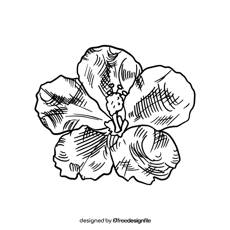 Hibiscus black and white clipart
