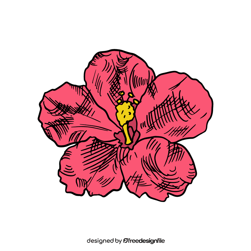 Hibiscus clipart