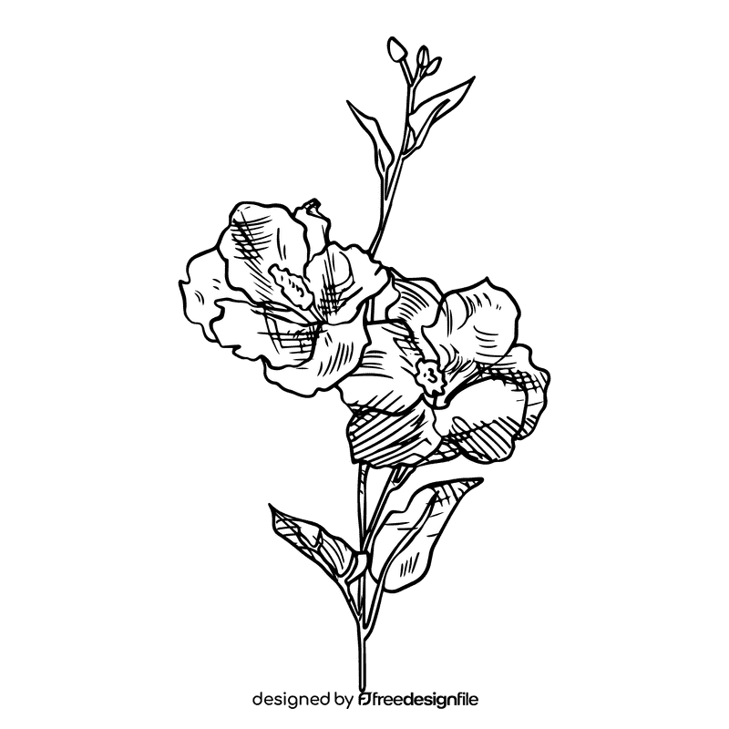 Hibiscus black and white clipart