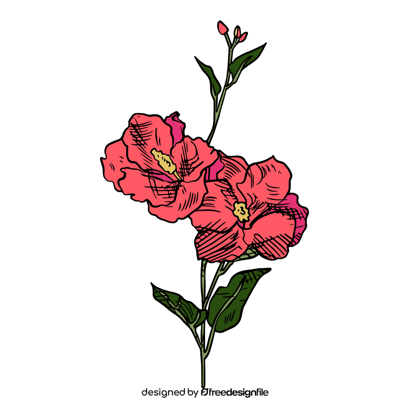 Hibiscus clipart