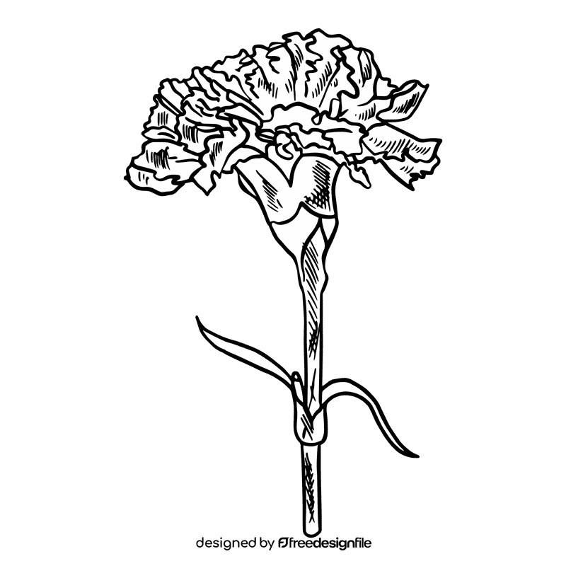 Carnation black and white clipart