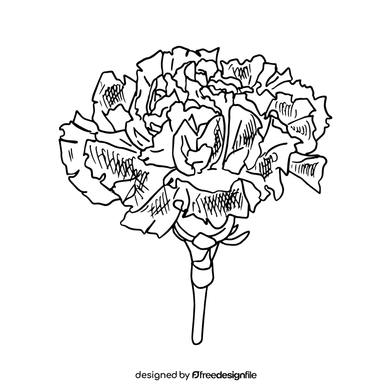 Carnation black and white clipart