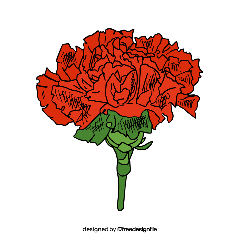 Carnation clipart