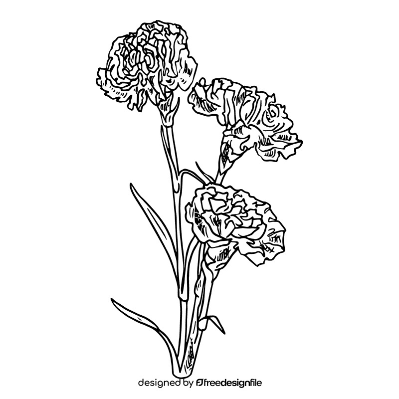 Carnation black and white clipart