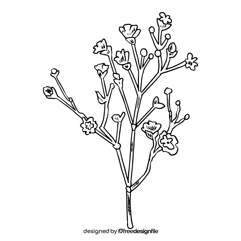 Carnation black and white clipart