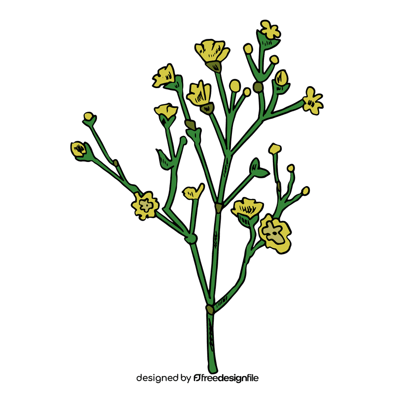Carnation clipart