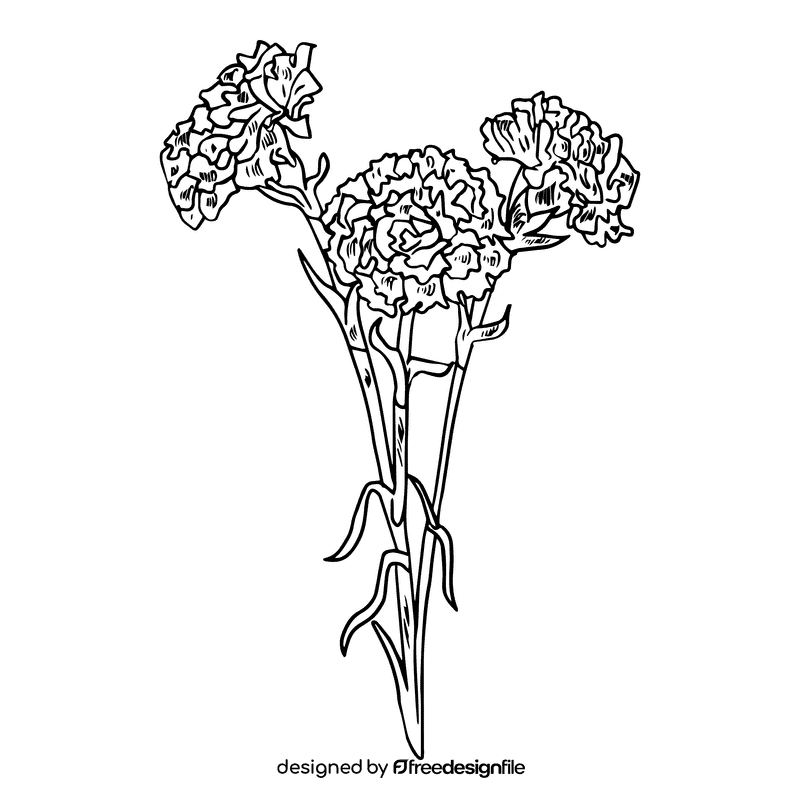 Carnation black and white clipart