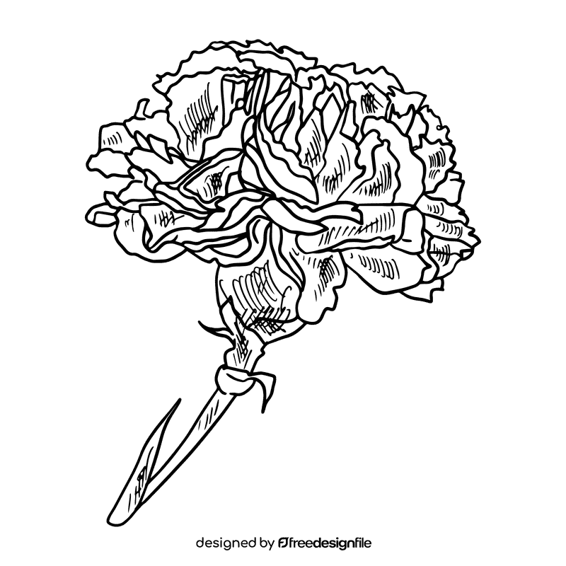 Carnation black and white clipart