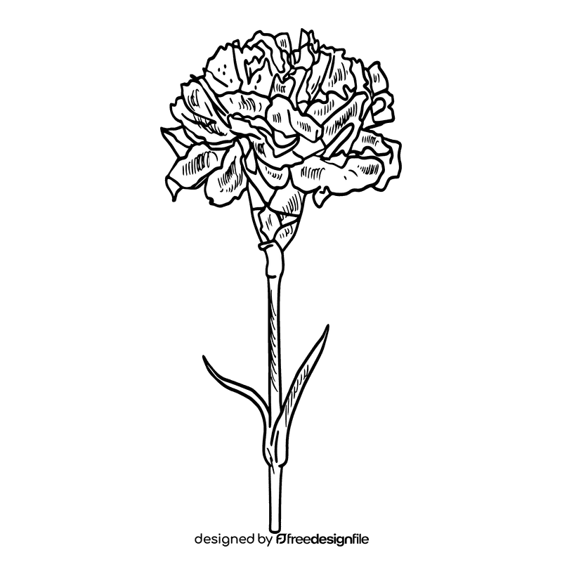 Carnation black and white clipart