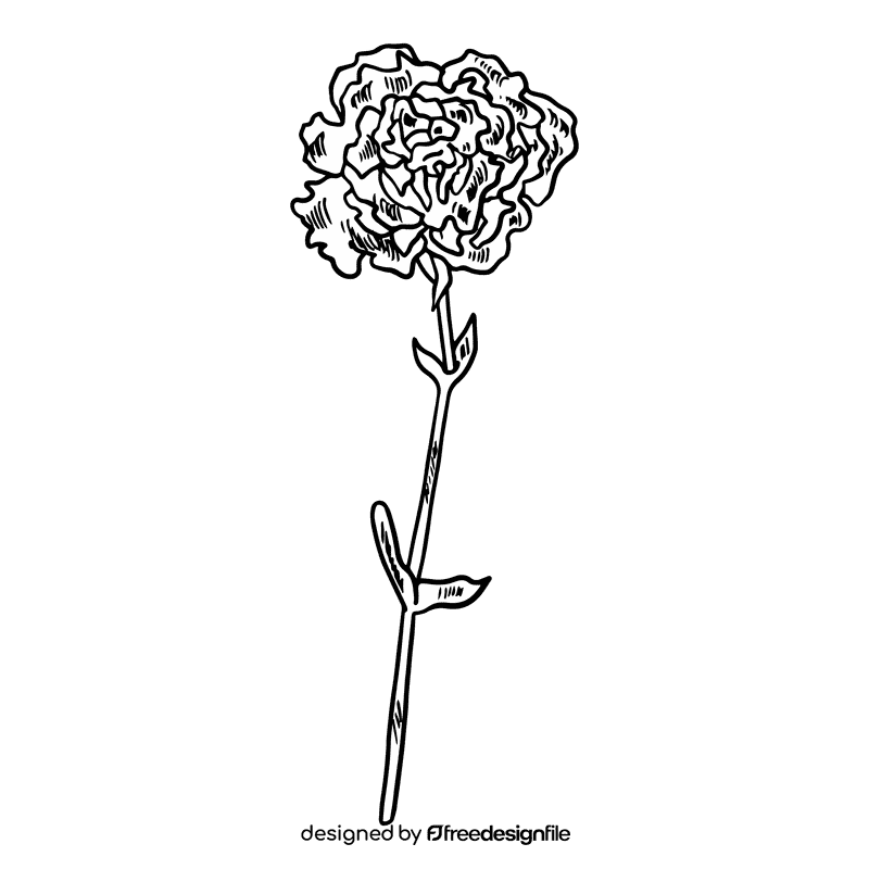 Carnation black and white clipart