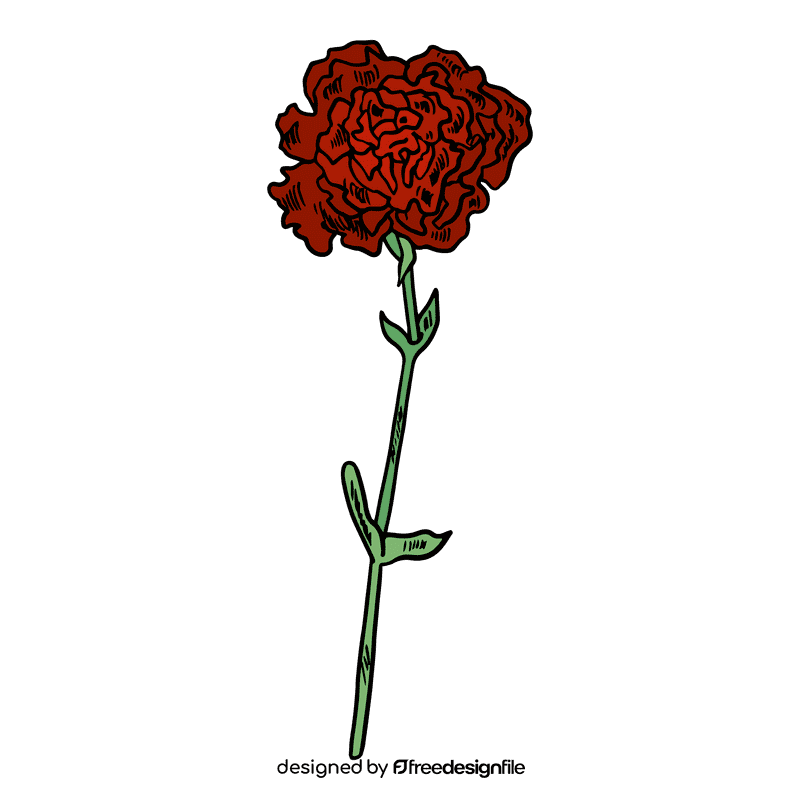 Carnation clipart