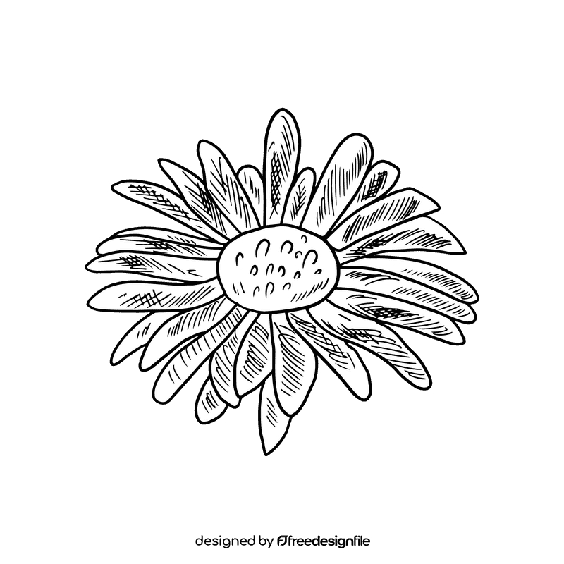 Aster flower black and white clipart