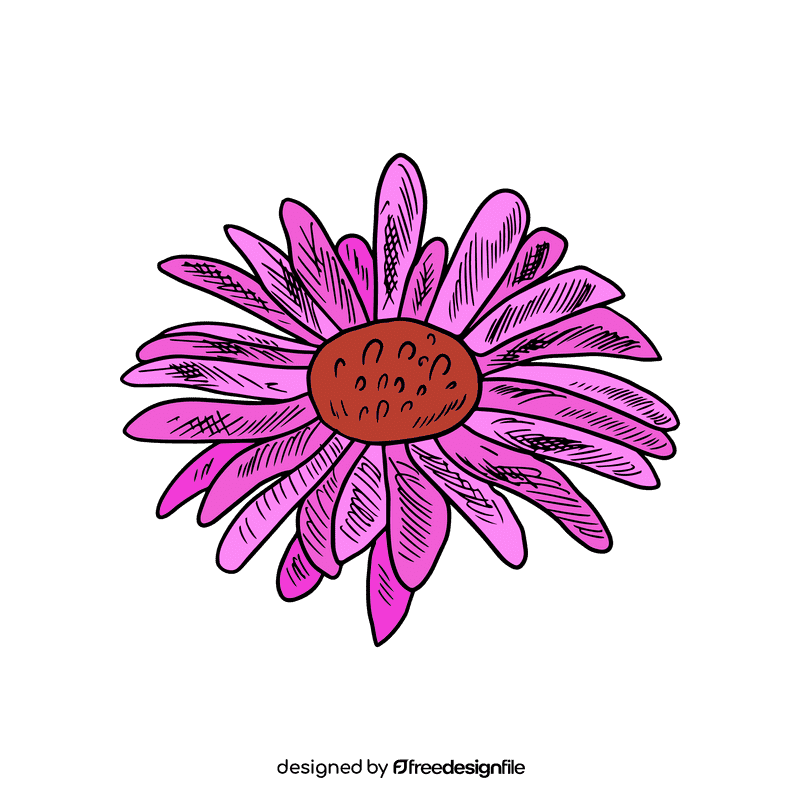 Aster flower clipart