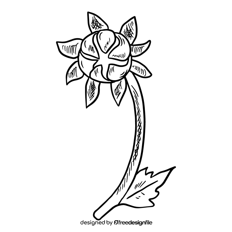 Aster flower black and white clipart