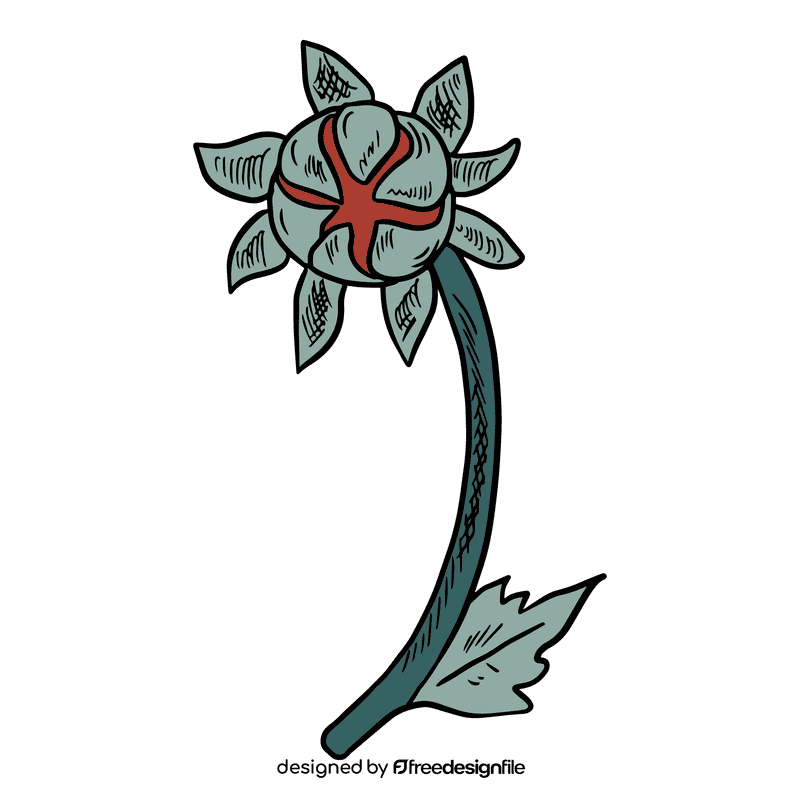 Aster flower clipart
