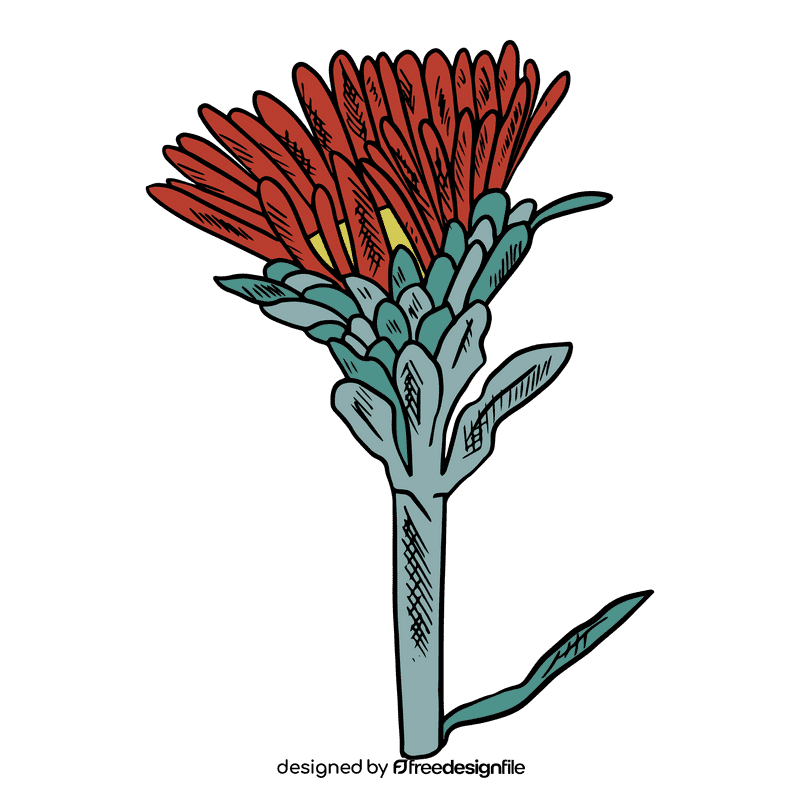 Aster flower clipart