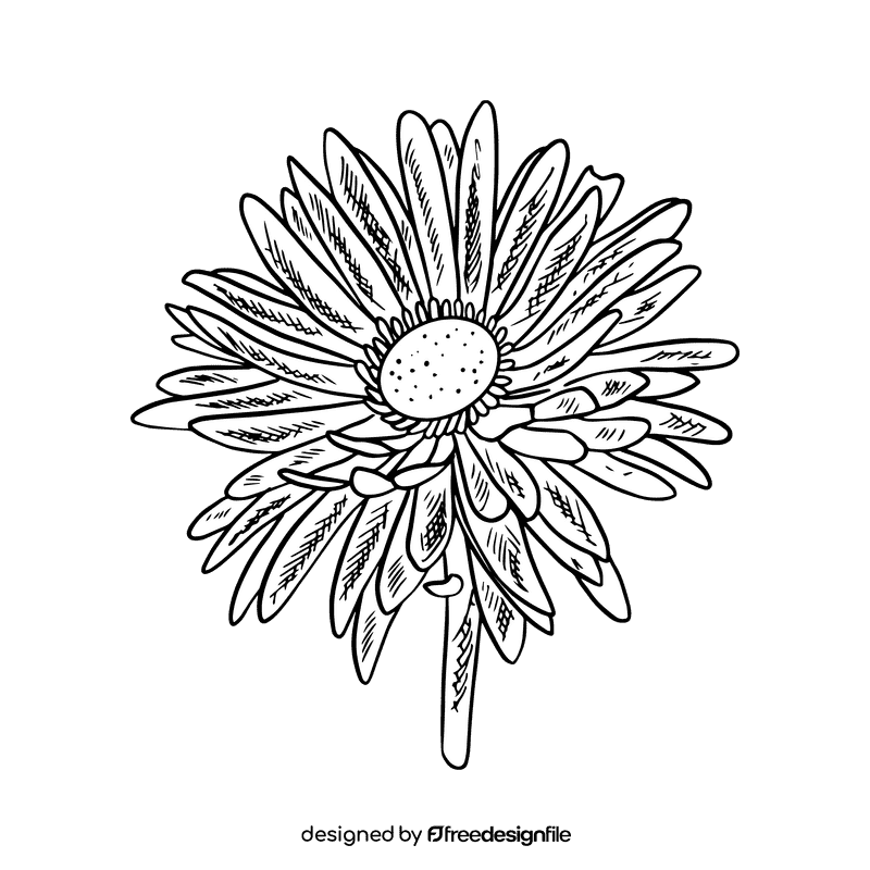 Aster flower black and white clipart