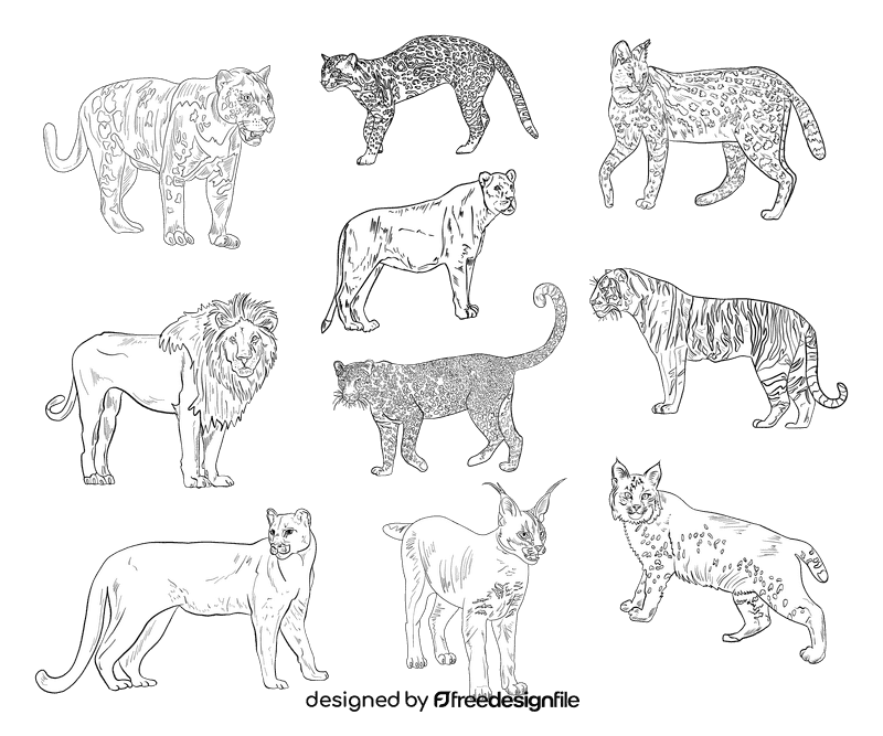 Wild cat black and white vector