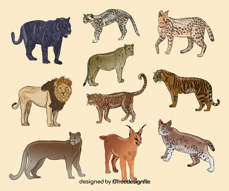 Wild cat vector