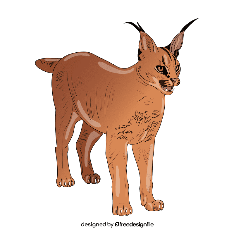 Wild cat Caracal clipart