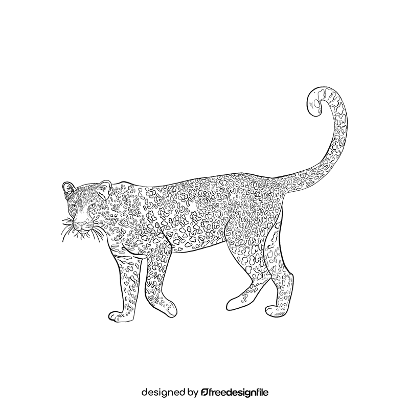 Wild cat Leopard black and white clipart