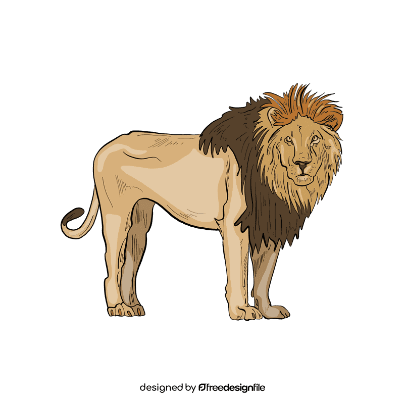 Wild cat Lion clipart