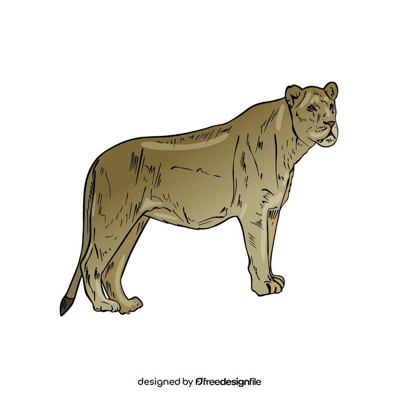 Wild cat Lioness clipart